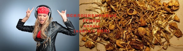 стафф Верхний Тагил