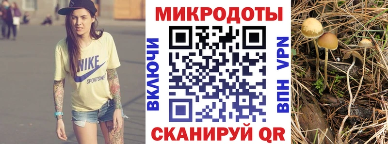купить наркотик  Зуевка  блэк спрут как зайти  Галлюциногенные грибы прущие грибы 